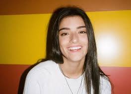The duo is being called out for their questionable behaviour towards private chef aaron may in the video that marks the debut episode of their family's. The Family Of Social Media Star Dixie D Amelio Bhw