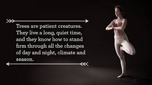 The Mythology Behind Vrikshasana Tree Pose Yoga Tree Pose Tree Pose Yoga International