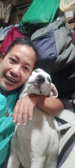 Justice for Erika and Equal Protection for All Dog Breeds