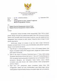 Pengangkatan melalui inpassing yaitu pengangkatan karena adanya aturan baru. Kementerian Pendayagunaan Aparatur Negara Dan Reformasi Birokrasi Surat Menteri Panrb Perihal Pengangkatan Ke Dalam Jabatan Fungsional Melalui Pengangkatan Pertama Jakarta 9 September 2020
