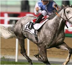 Turfbets Horse Betting Site Launched For Indians By Popular Exclusive Play Us legal horse racing betting online. turfbets horse betting site launched