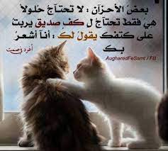 صور أجمــل عبارات أغرد فــي الصــــمت gezegden over het leven grappig citaten over wijsheid