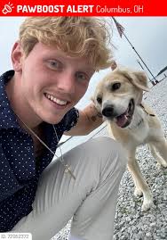 Lost Golden Retriever in Monteverde