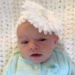 Stories from Friday, April 24, 2015