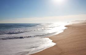 Image result for sea