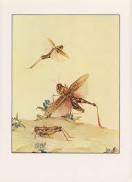 Bug Art Insect Art Grasshopper Art Fantastic Creatures Italian Locusts Edward Julius Detmold Usa Antique Children Print Insect Art Bug Art Art