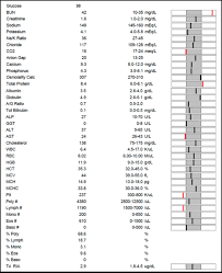 We Decode Your Cat S Blood Test Results Catster