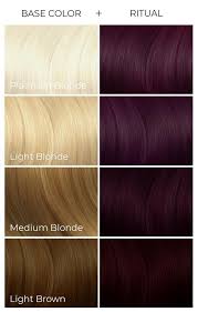 Ritual In 2020 Arctic Fox Hair Color Ion Hair Color Chart Fox Hair Dye