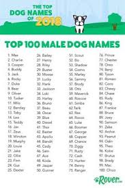 The most popular dog names of the year are here! 35 Top Dog Names For Males Ideas Dog Names Top Dog Names Puppy Names