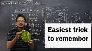 Check spelling or type a new query. Difference Between Plant Cell And Animal Cell In Hindi Trick To Remember Youtube