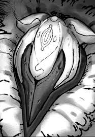↑ made in abyss manga: Prushka Made In Abyss Wiki Fandom