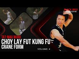 Choy Lay Fut Kung Fu