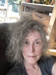 TERRI WITEK — anhinga press