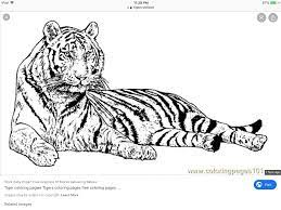 Pin By Susan Lobert On Art Tigers Animal Tattoo Animals Art