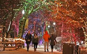 10 Things To Do In Chicago During The Holiday Season The Diy Playbook Chicago Christmas Zoo Lights Chicago Holiday