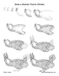 Learn How To Draw Animals On Exploringnature Org Chicken Drawing Drawing Lessons Drawings