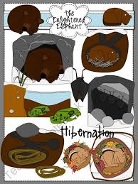 Hibernation Clip Art Product From The Enlightened Elephant On Teachersnotebook Com Animals That Hibernate Winter Animals Preschool Forest Animals Preschool
