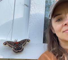 Prompt 309. Beethoven & the Blues