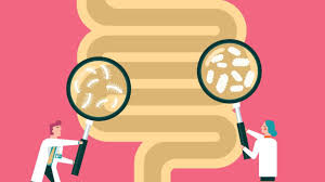 Can You Make Your Gut Healthier with Probiotics? | ColumbiaDoctors