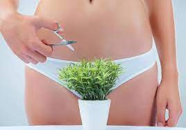 Selain klitoris, beberapa wanita juga senang melakukan masturbasi untuk mencapai orgasme dengan meraba puting payudara. Dear Ladies Ini 7 Cara Manjur Untuk Membuat Miss V Kamu Selalu Wangi