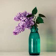 Still Life Print Lilac 8x8 Photograph Simple By Birdandbloke 25 00 Still Life Flowers Flowers Photography Fine Art Photo