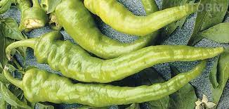I peperoni sono quell'elemento in grado di dare una svolta a un piatto o a un pasto. Peperone Biondo A Sigaretta Lombardo L Ortofruttifero