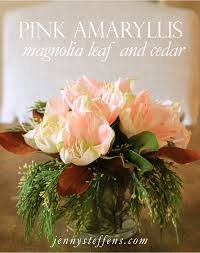 35 homes for sale in cedar hill, mo. Easy Diy Holiday Centerpiece Pale Pink Amaryllis Magnolia Leaf Cedar Flower Arrangement Jenny Steffens Hobick