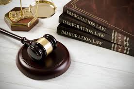 Immigration Lawyers In Karachi.