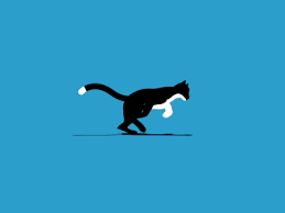 Cat Motion Design Animation Animation Motion Graphics Animation