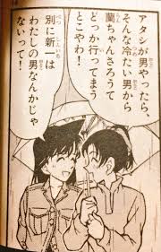 名探偵コナン 同人誌21冊 羽由美 高佐 京園 平和 安梓 新蘭 コ蘭 千葉苗 松佐 あむあず 高木×佐藤 京極×園子 平次×和葉 安室 梓 蘭 苗子