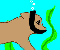 Swimming dogs, diving for toys, have captured the imagination of the. A Dog Swimming Underwater Drawception