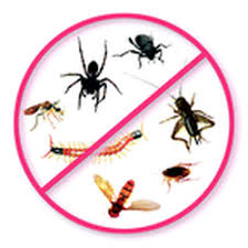 Our chiropractors and staff focus first on prevention; The Best 10 Pest Control Near The Bed Bug Guru In Gainesville Fl Yelp