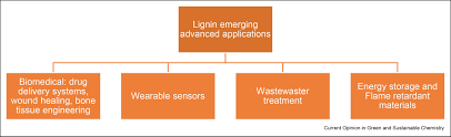 Lignin-based materials for emerging advanced applications – Topochemical  Engineering & Bioinspired Fabrication