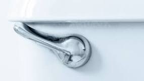 Toilet Handle Replacement | Mike Diamond Services