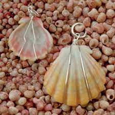 Fill with enough water to just cover sponge. Pin By Renee Bradford On Diy Jewelry Jewelry Making Shell Seashell Jewelry Shell Jewelry