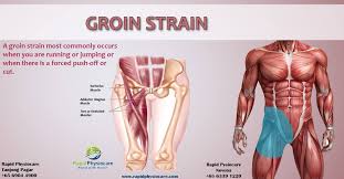 These muscles are responsible for the adduction of the thigh (bringing the knee and femur. Facebook