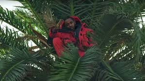 50 Best Music Videos of 2018: Billboard Staff Picks | Billboard