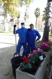 Des Fleurs En Hiver Pour Rechauffer Les Coeurs Enjolivez et décorez les espaces publics de votre ville avec des bacs à fleurs idéals pour bac à fleurs | home depot canada. fleurs en hiver pour rechauffer les coeurs