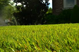 The process of lawn leveling is done by spreading a mixture referred to as topdressing over your lawn. How To Get That Perfect Level Lawn