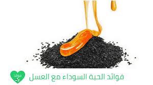 فوائد الحبة السوداء مع العسل مذاق لذيذ وفوائد رائعة لحبة البركة مع العسل