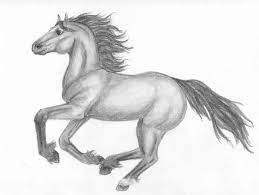 They insist the mustangs should remain in the wild and that the adoption incentive money would be better spent on horse fertility controls, like darting mares with contraceptive drugs. Wild Mustang Wildfire By Starlightdreamer On Deviantart