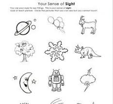 Teaching Kids Sense Of Sight The Five Senses Kids Senses Sense Of Sight Teaching Kids