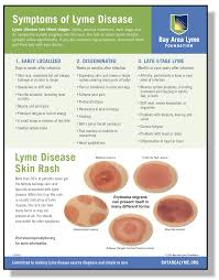 Image result for Lyme Carditis