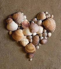 Especially If You Have Collected Those Shells Together Bricolages Avec Des Coquillages Travaux Manuels De La Mer Art Coquillage
