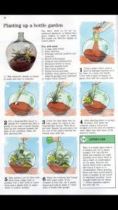 Pin By Sarah Fuller On Plants Bottle Garden How To Make Terrariums Plants