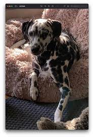 McLoad1 (umcload1) - Reddit