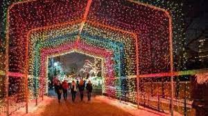 Zoolights Make A Bright Return With New Features Nbc Chicago