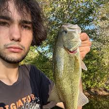 ᐅ Spooky Brook Pond fishing reports🎣• Franklin, NJ (United States) fishing