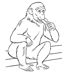 Zoo animal coloring pages are always fun activity to help kids to enhance their skills. Top 25 Free Printable Zoo Coloring Pages Online