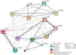 Keep your number active for 365 days for rm33 or 90 days for rm8. Ijms Free Full Text Innate Immune Response To Tick Borne Pathogens Cellular And Molecular Mechanisms Induced In The Hosts Html